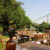 Majestic Garden - Image 2