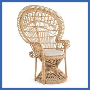 Peacock Kosha Chair
