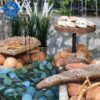 Open Buffet 2 By Set elbiet - Image 5