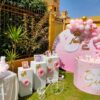 Pinky Backdrop - Image 2
