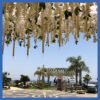 Movenpick Resort Ain El-Sokhna - Image 3