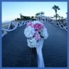 Movenpick Resort Ain El-Sokhna - Image 9