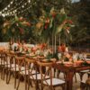 Tropical Theme Package B - Image 2