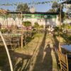 El jawhara club - Image 4