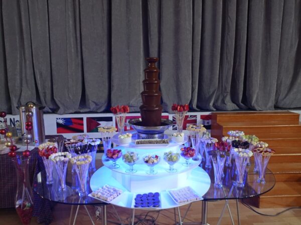 Chocolate Fountain 5 levels