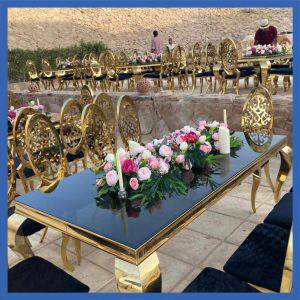 Golden Stainless Steel Chair