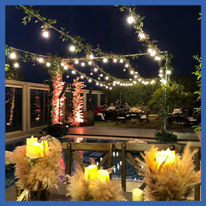 Bulb String Lights