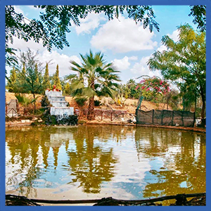 Villa Atlantis