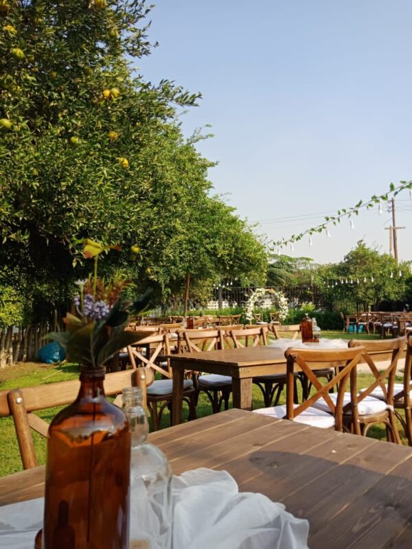 Majestic Garden - Image 2