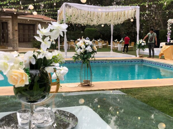 Villa Daisy - Image 2