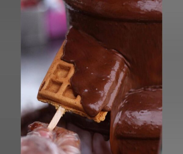 Waffle Sticks By The Fountain
