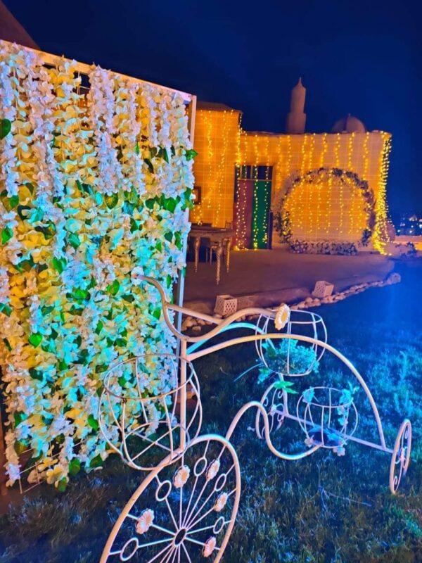 Open Air Lotus Garden - Image 6