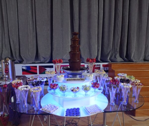 Chocolate Fountain 5 levels