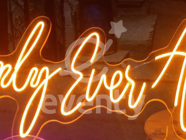 Happily Ever After Neon Sign