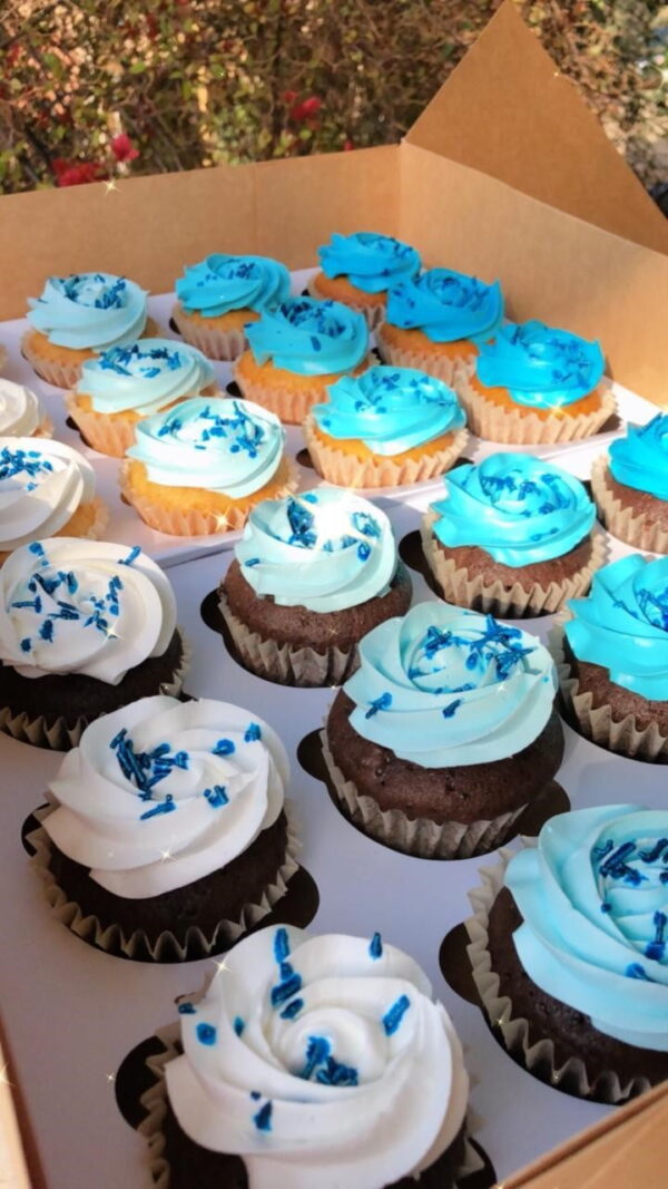 12 Cupcakes by Hanavio