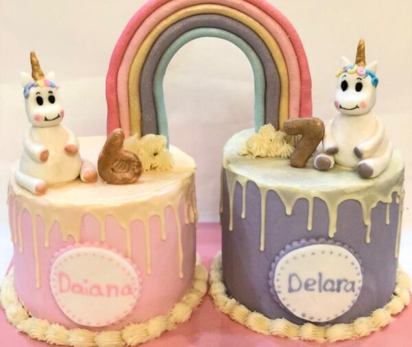 Unicorn Twin Cakes by Hanavio