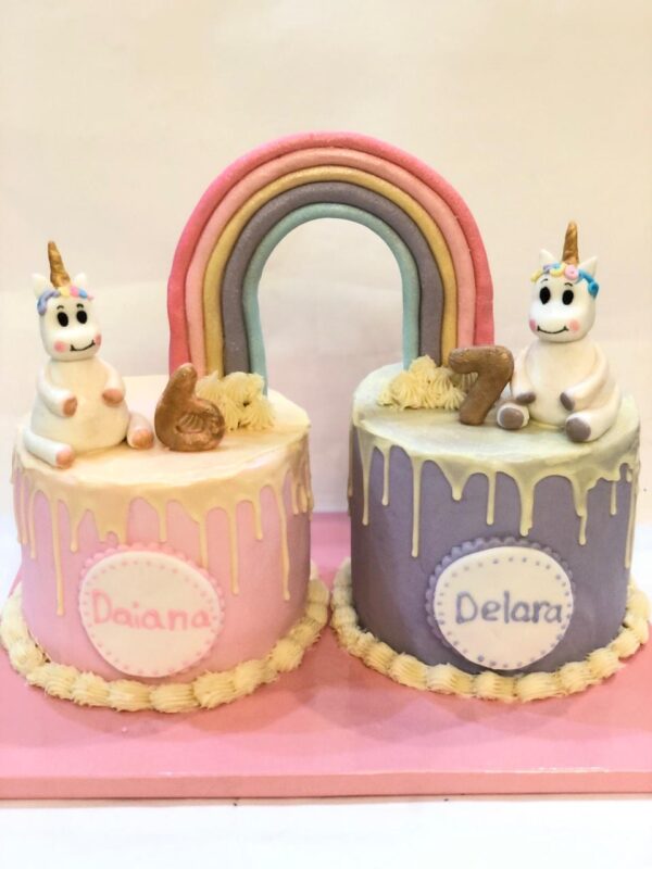 Unicorn Twin Cakes by Hanavio