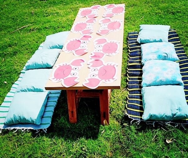 Cushions picnic