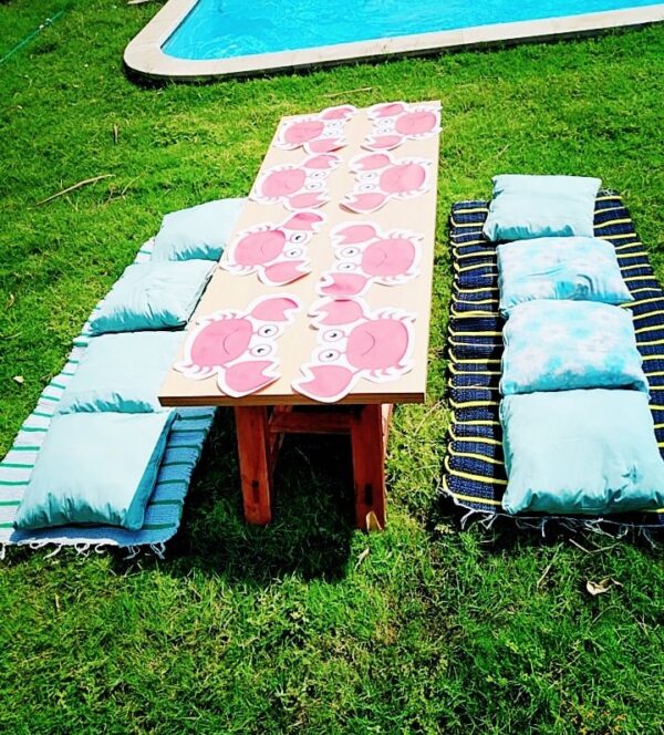 Cushions picnic