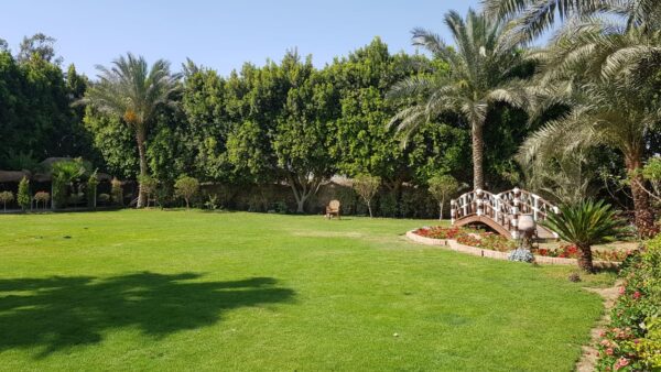 Villa 3 October - Image 8