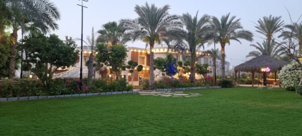 Villa 3 October - Image 12