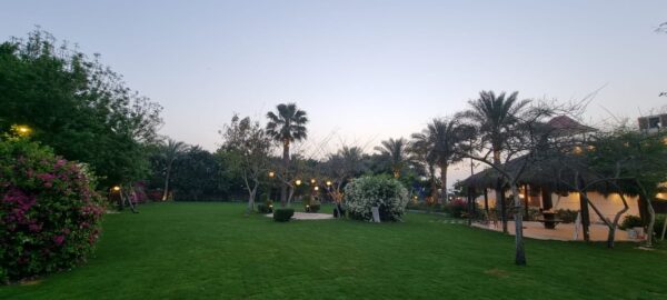 Villa 3 October - Image 11