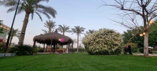 Villa 3 October - Image 10