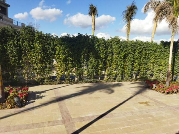 Pyramids Heights - Pavilion 1 - Image 7