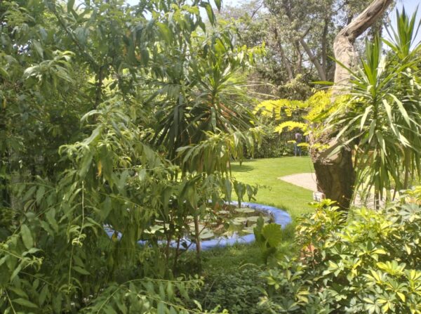 KMT House - Image 7